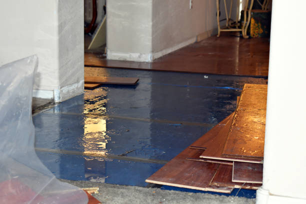 Professional Burst Pipe Cleanup technician working in La Crescenta, CA